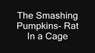 The Smashing Pumpkins- Rat In a Cage