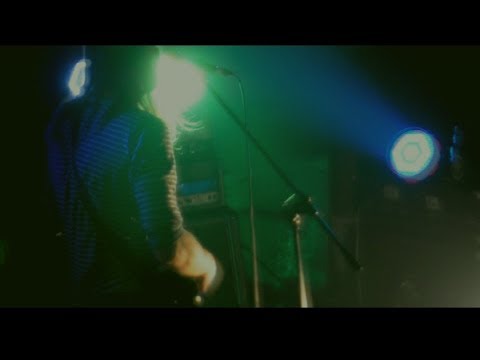 Morus - Ciężarowce