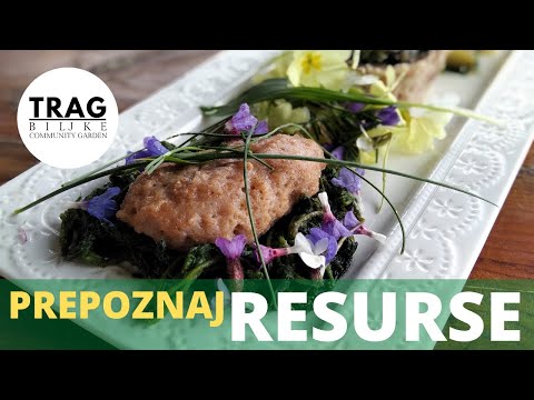 PREPOZNAJ RESURSE [TRAG BILJKE]