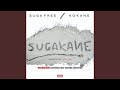 SugaKane