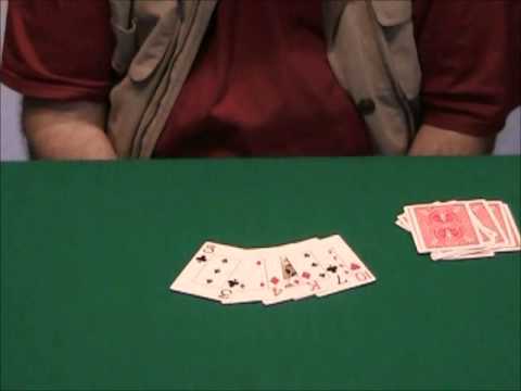 A Coincidence and Divination Routine by Wild-Colombini Magic - DVD