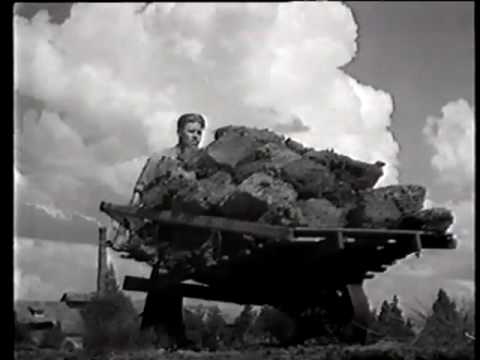 Peat history - (C) 1992 Neova