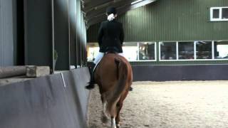 preview picture of video '15-04-2012 Wendy van Vuure met paard Zetor'