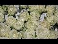 Book Of Love - I Touch Roses (Rose Parade video)