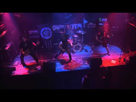 Insurrection - Checkmate - foufs 2013