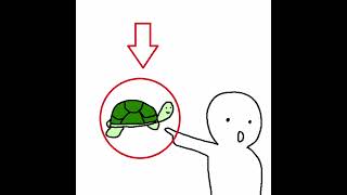 Cover art for look! a turtle... nevermind...