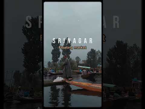 Megha Gupta India ki fl...