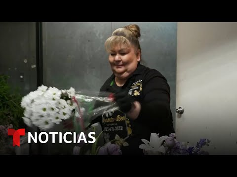 Miniaturu videa