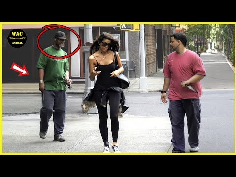 50 Real Life Superheroes Caught on Camera! #54| Animals That Asked People for Help & Kindness!