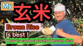 Hpw to cook sprouted brown rice