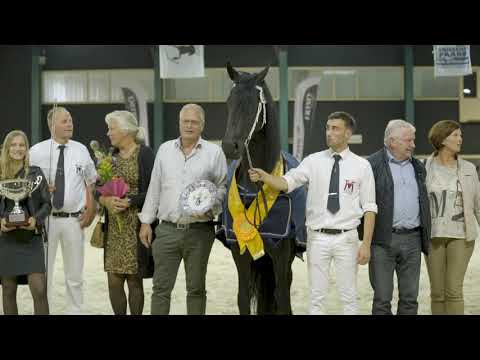 Algemeen Kampioen Centrale Keuring 2019 Berber van Brabantshof