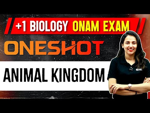 +1 Biology Onam Exam | Chapter 4 | Animal Kingdom | Onehsot | Exam Winner Plus one