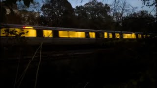 Night Train Ambience | Relaxing Railroad Sounds for Deep Sleep & Focus