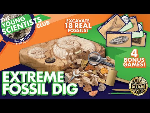 The Young Scientists Club Extreme Fossil Dig