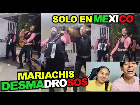 REACCIONAMOS por Primera Vez a MARIACHIS COTORREO EN VIVO CANCIONES DE TIK TOK MARIACHIDIZIMO DESMAD