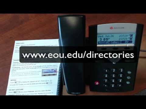 EOU Phones - Polycom IP 331