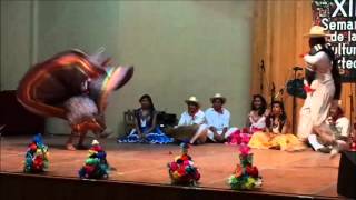 preview picture of video 'Jarabe Mixteco - XII Semana de la Cultura Mixteca'
