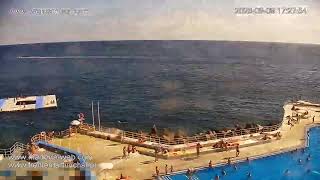 LIVE Cam: Lido Pool Complex - Piscinas do Lido by Frente MarFunchal | Madeira-Web live webcam