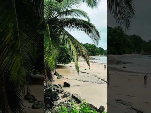 Neil Island BLEW My Mind! 🤯 Hidden Beaches, Sunrise & Natural Bridge