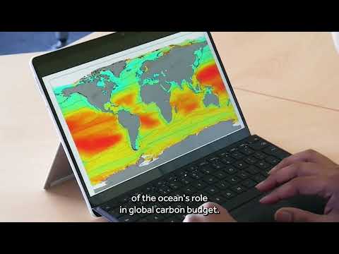 Measuring ocean biological carbon from space play video