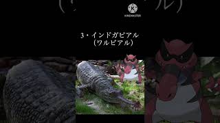 ＃shorts ポケモンのモデルとなった動物　3選