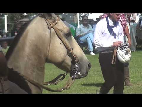 DOMA EN ADELIA MARIA CORDOBA ARGENTINA 12-04-2026