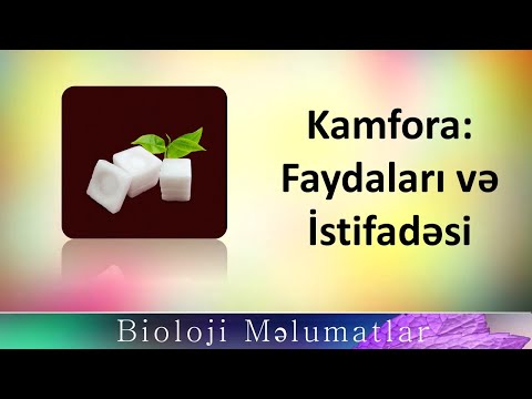 Kamfora: Faydaları və İstifadəsi