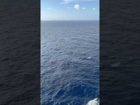 Thumbnail for MSC Grandiosa cruise ship from Palermo to Ibiza