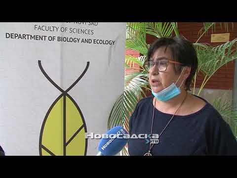 Kako se rešiti smrdibuba u kući