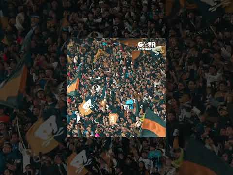 "Aquí está la Rebel los Pumas dónde están? #pumas #soydepumas" Barra: La Rebel &bull; Club: Pumas