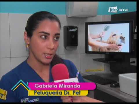 Con qué frecuencia debo bañar a las mascotas