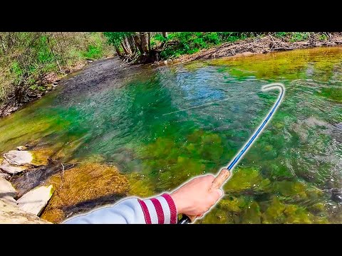 Spring Fly Fishing for Big Brown Trout | Insane Streamer Day!