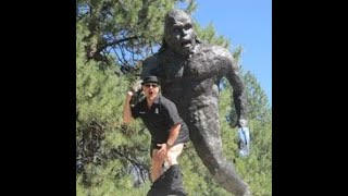 SASQUATCH (Live)New Disguise- The Electric Highway- @SlimBzTV