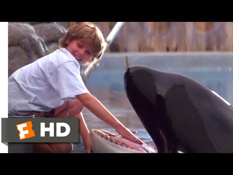 フリー・ウィリー (1993) - トレーニング・ウィリー・シーン (5/10) ｜Movieclips (Free Willy (1993) - Training Willy Scene (5/10) | Movieclips)