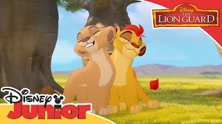 The Lion Guard: Hakuna Matata - Music Video | Official Disney Junior Africa