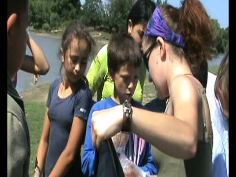 Seitin : O noua fata pentru Mures