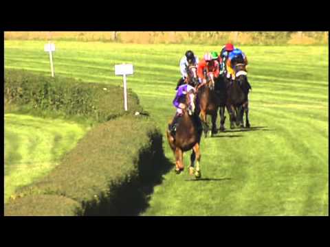 21.07.2013 Hoppegarten 5.Rennen 123. Grosser Preis von Berlin 2013 - Gruppe I 2.400 m