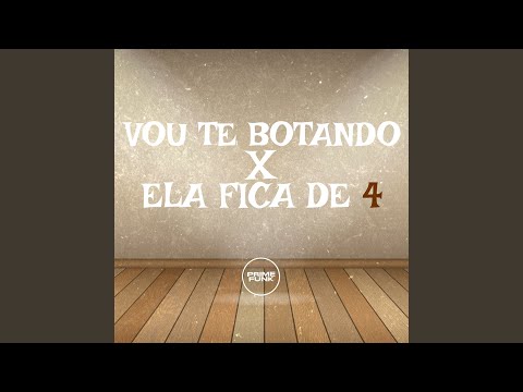 Vou Te Botando X Fica de 4