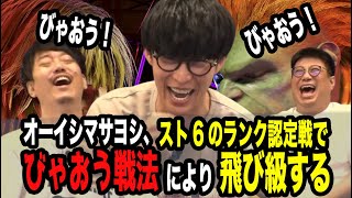【スト6】オーイシ、びゃおう戦法でスト6ランク【ピザラジ 切り抜き】【加藤純一 オーイシマサヨシ 布団ちゃん こくじん】【2024/08/14】