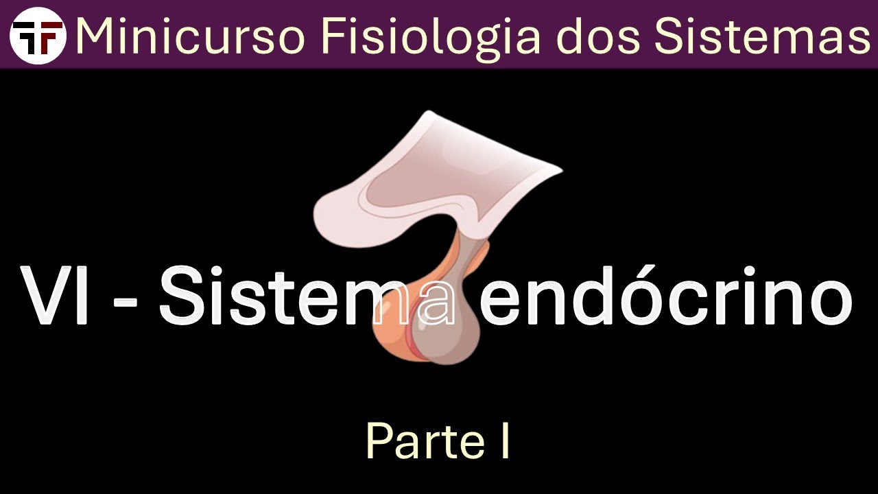 Sistema endócrino I - Minicurso fisiologia dos sistemas
