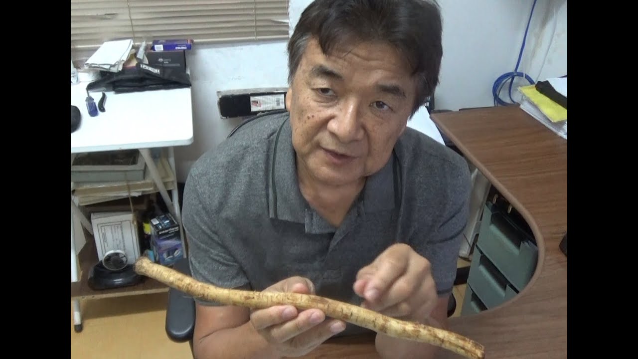 Bardana Um Santo Remédio para Diversos Males 08/02/2020