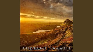 Cloaked In Natural Peace