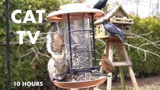 Sunday Morning Brunch for Backyard Birds and Squirrels - 10 Hour CAT TV for Pets - Apr 14, 2024