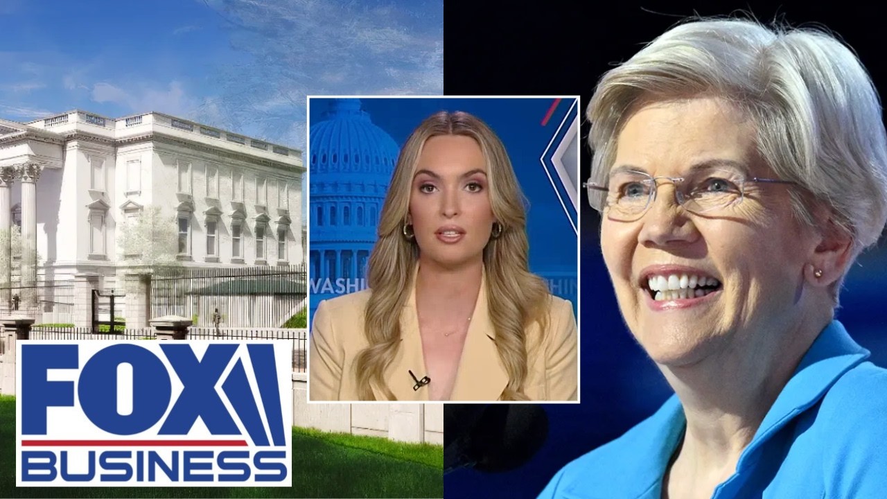 Elizabeth Warren didn’t ‘lift a finger’ on Minnesota fraud, commentator says