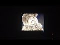 Barney Friends Kristen Danny Lion The Lion Trainer Applause Laughter Normal And Slow 1999