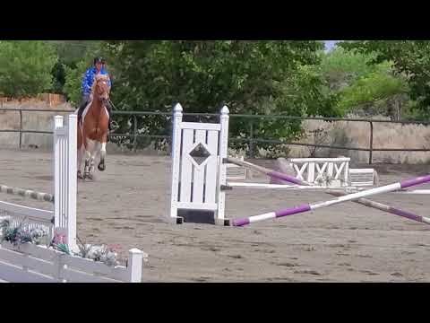 Hank lesson 6/6/20 w/Amanda