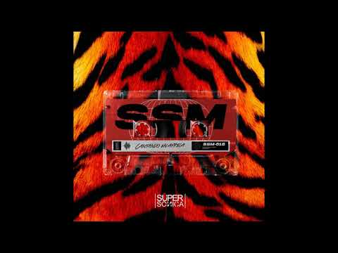 Davis P, Gabriel Dominguez, Javier Light - Bandera Negra (Original Mix)