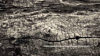 9west - Decay (David Durango Undeep Remix)