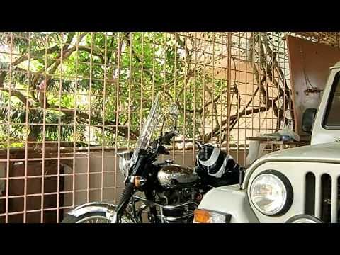 Mirror Fight on Royal Enfield Bullet - Loten's Sunbird does Honeysucker Kung Fu