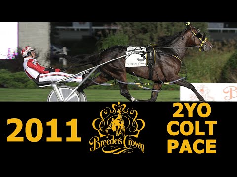 2011 Breeders Crown - Sweet Lou - 2CP